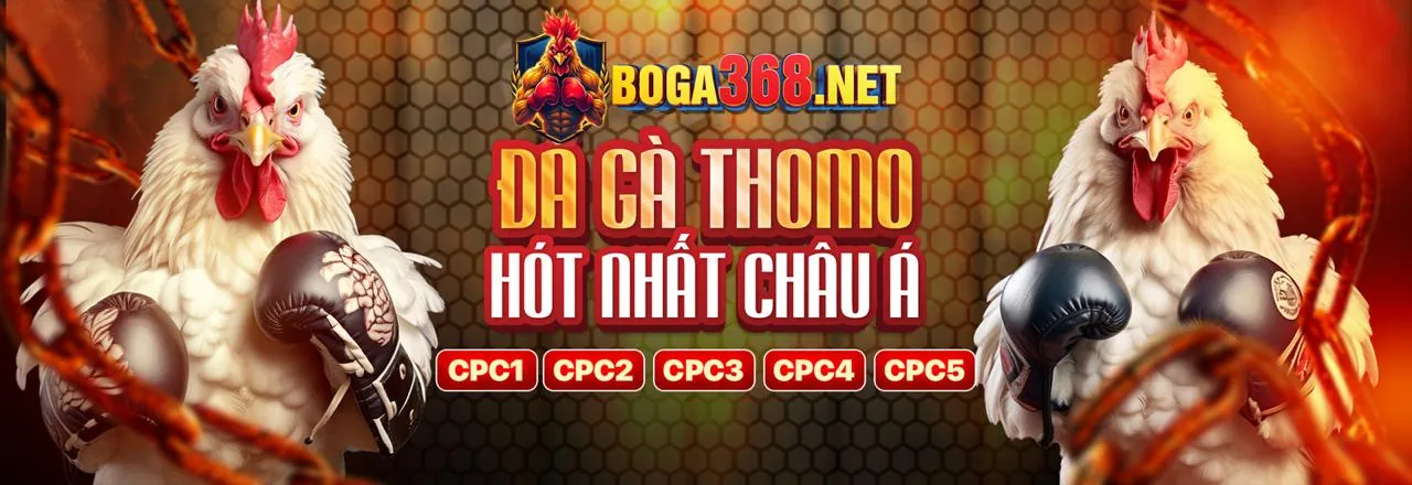 Banner Kêu Gọi Hành Động Đăng Ký dbet