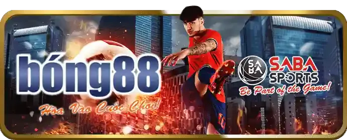 Hoàn Trả Thể Thao Dbet
